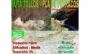 Ruta senderista Tollos - Petracos