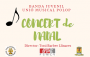 Concert de nadal de la Banda Juvenil
